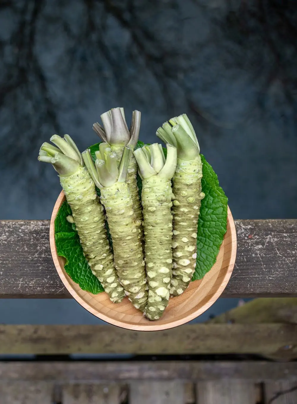 Is Wasabi Good For You? 13 Health Benefits To Know