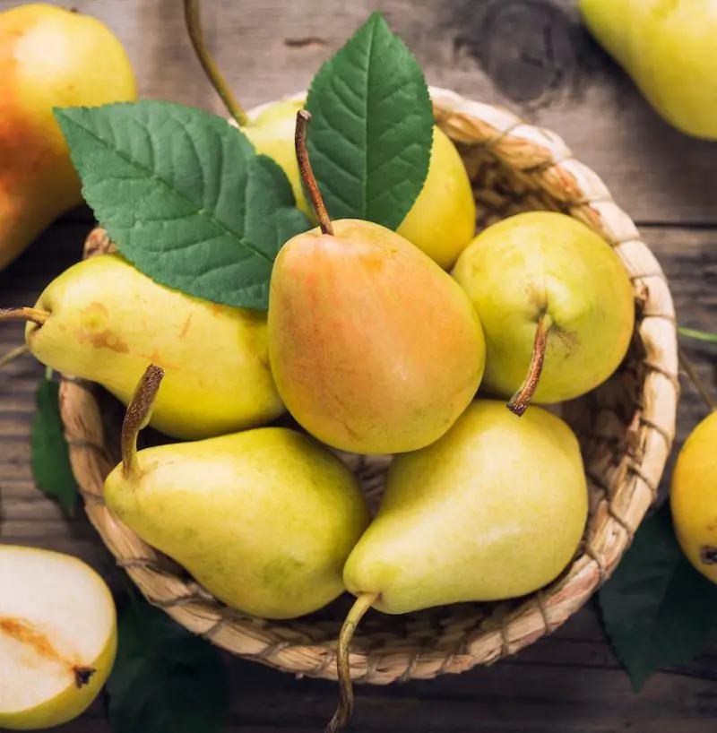 How To Ripen A Pear With Quick and Easy Steps