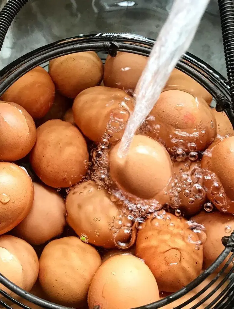 How To Clean Fresh Eggs