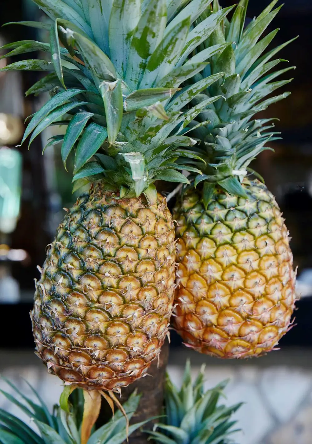 How To Tell If A Pineapple Is Ripe (5 Ways)